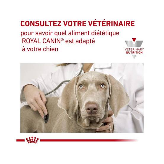 Royal Canin - Croquettes chien VETERINARY DOG HYPOALLERGENIC MODERATE CALORIE - Royal Canin 1,5 kg - Image 7