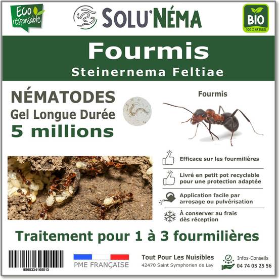 Solunéma - Fourmis - Traitement à base de Nématodes Steinernema feltiae (SF) 5 millions pour 1 à 3 fourmilières ou jusqu'à environ 10 m² - Image 1