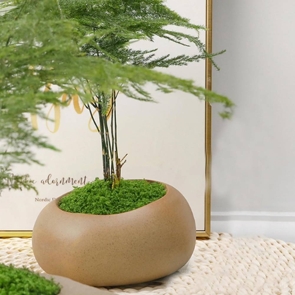 Mousse Artificielle 20g x 2 pour Décoration Jardin - Aspect Naturel et Sans Entretien - Lytech