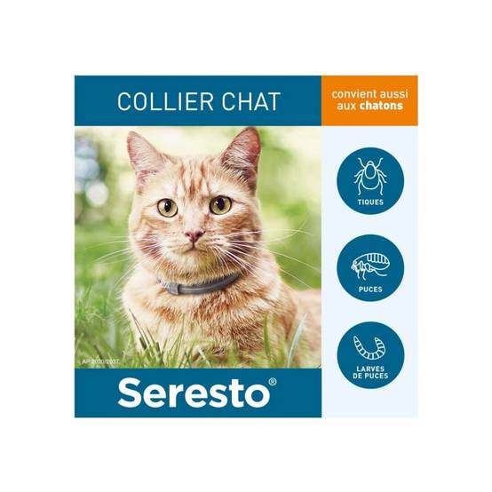 Bayer - Collier antiparasitaire chat - Seresto Collier x12 - Image 2