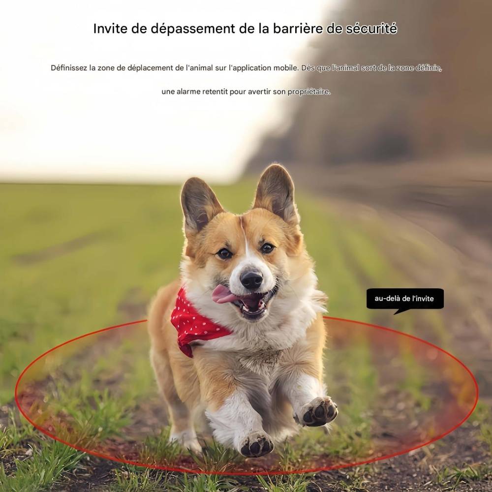 IntiMeg - Collier de suivi sans fil pour animaux de compagnie IntiMeg - Image 8