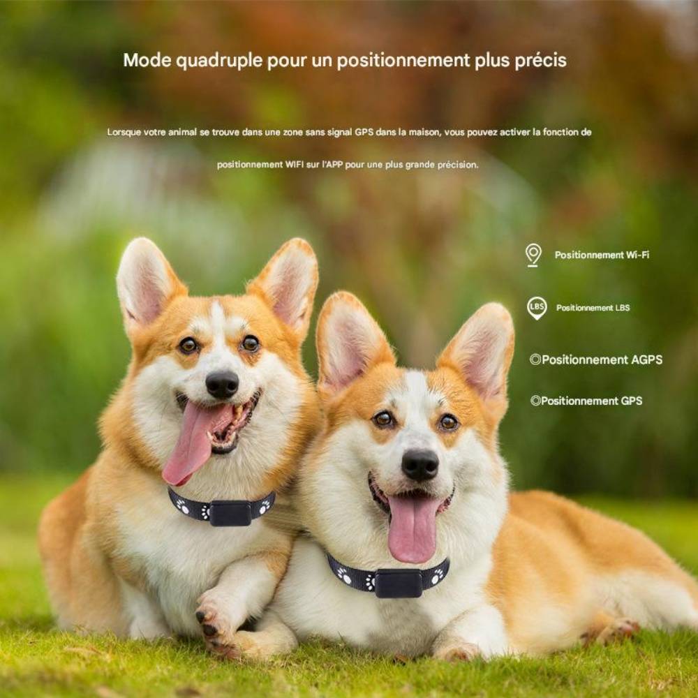 IntiMeg - Collier de suivi sans fil pour animaux de compagnie IntiMeg - Image 7