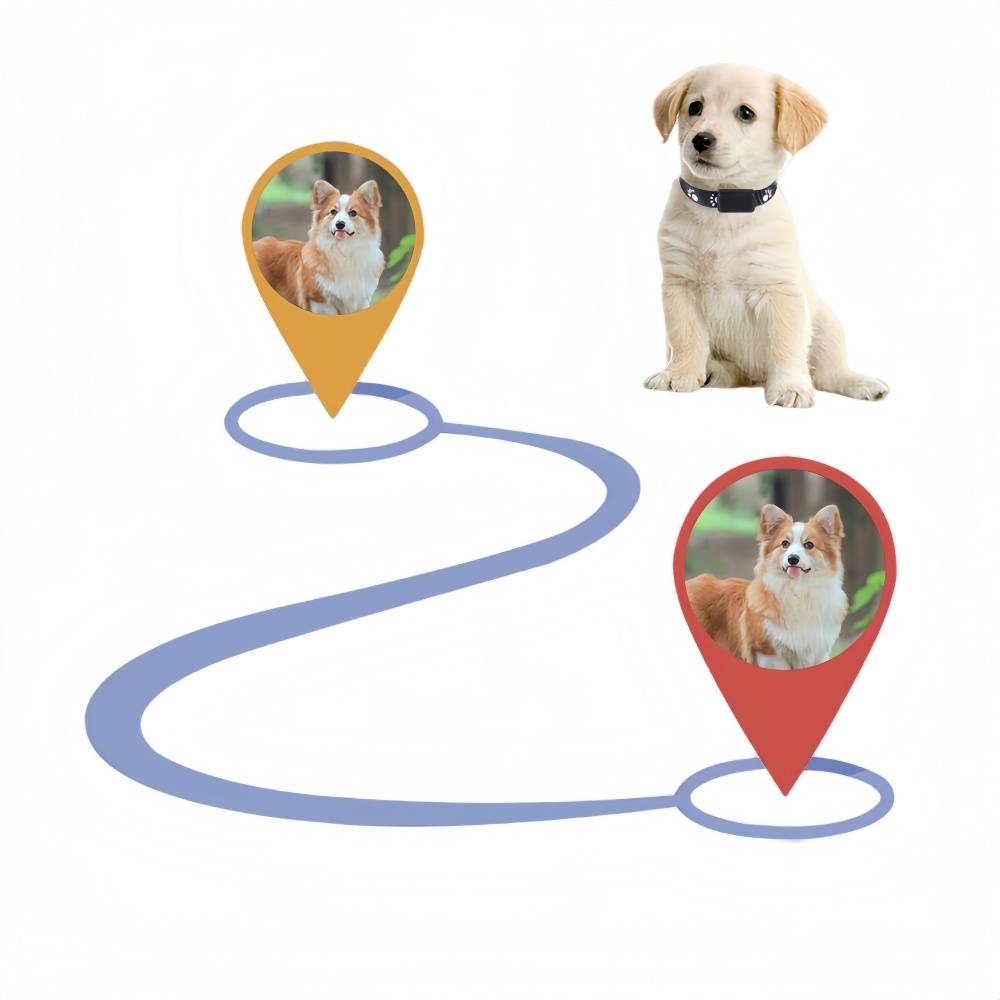 IntiMeg - Collier de suivi sans fil pour animaux de compagnie IntiMeg - Image 6
