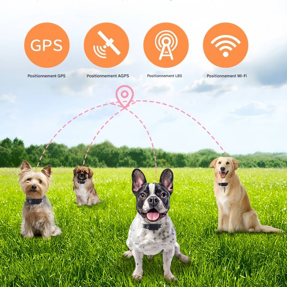 IntiMeg - Collier de suivi sans fil pour animaux de compagnie IntiMeg - Image 9
