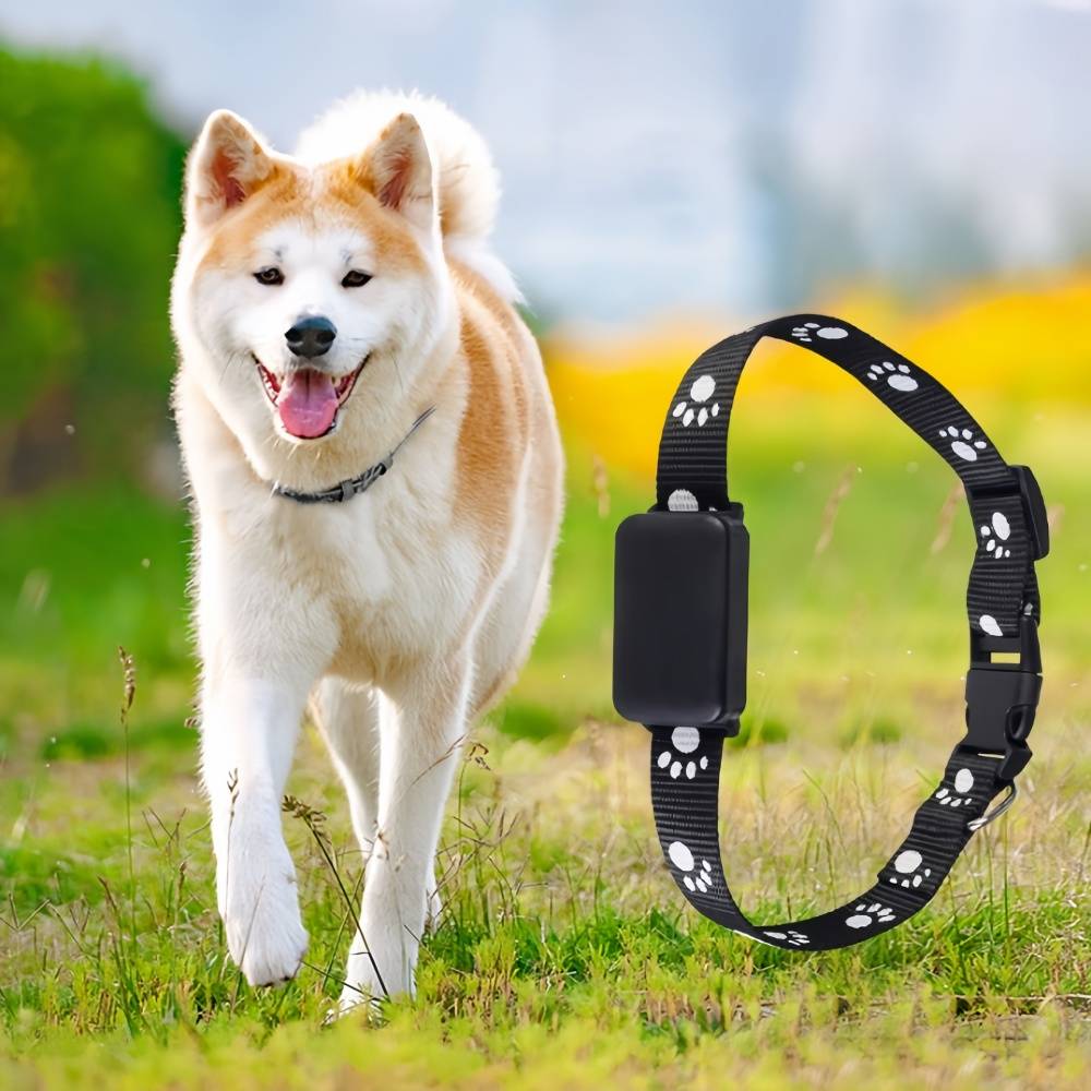 IntiMeg - Collier de suivi sans fil pour animaux de compagnie IntiMeg - Image 10
