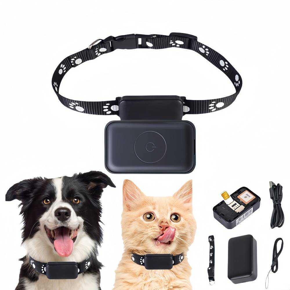 IntiMeg - Collier de suivi sans fil pour animaux de compagnie IntiMeg - Image 1