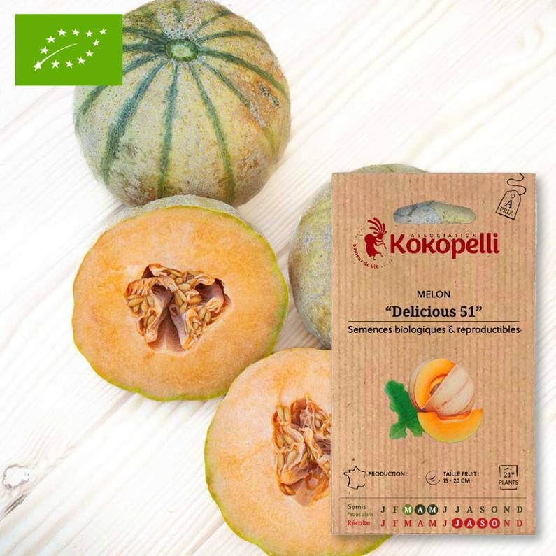 Association Kokopelli - Melon Delicious 51- Graines bio à semer - Image 1