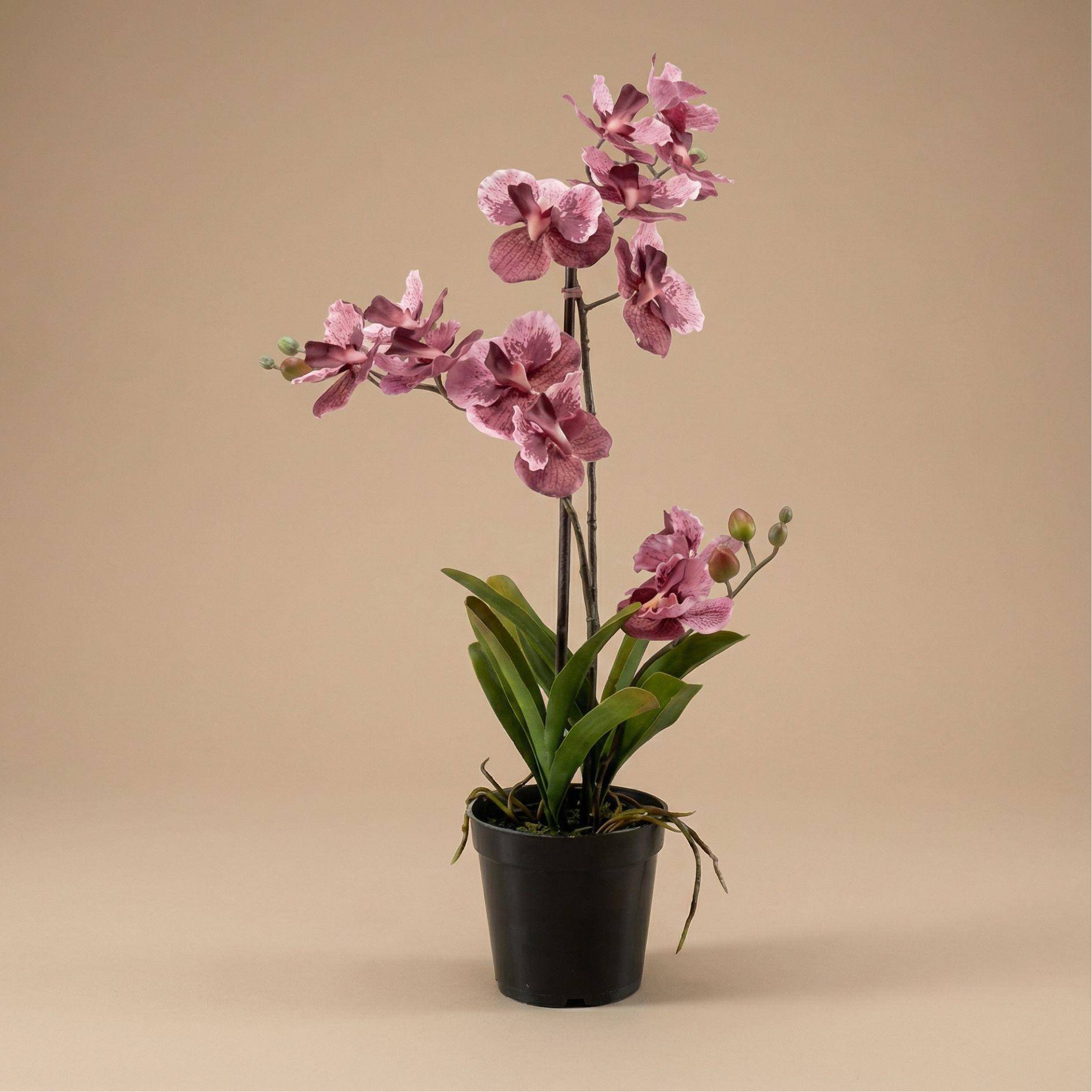 Orchidée Vanda 60 cm - vieux rose - Ø10cm - Plante artificielle