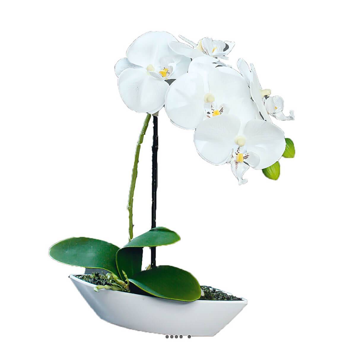 Artificielles - Orchidée factice tissu gaufré pot Résine Blanc ovale H28cm Crème - couleur: Crème - Image 1