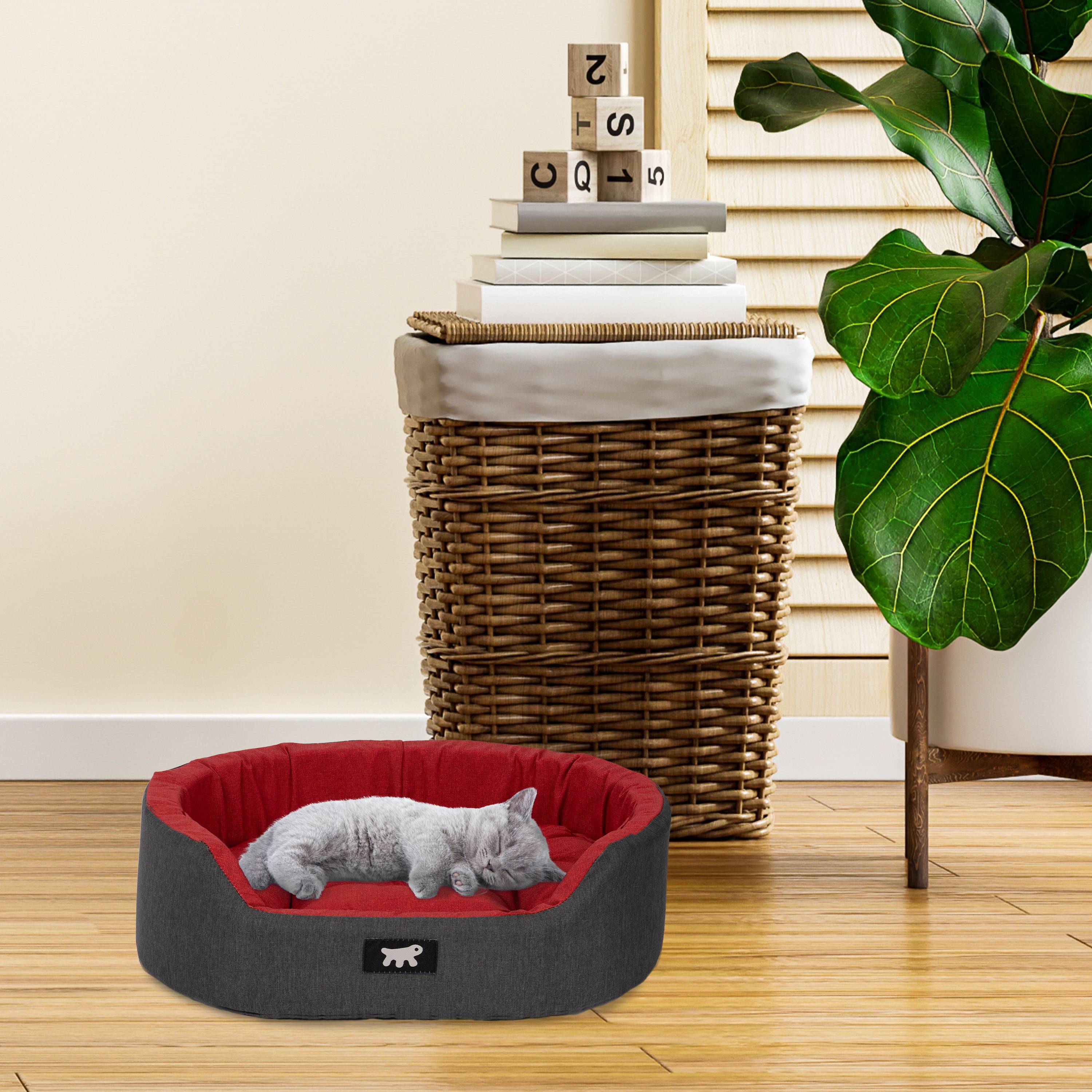 Ferplast - Ferplast Panier Chien Dandy, Coussin Amovible et Lavable, Housse en Coton avec Rembourrage Doux, Idéale également comme Niche pour Chat, 55 x 41 x H - Image 3