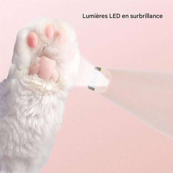 Coupe - griffes pour animaux de compagnie DtopbuyAge - Image 2