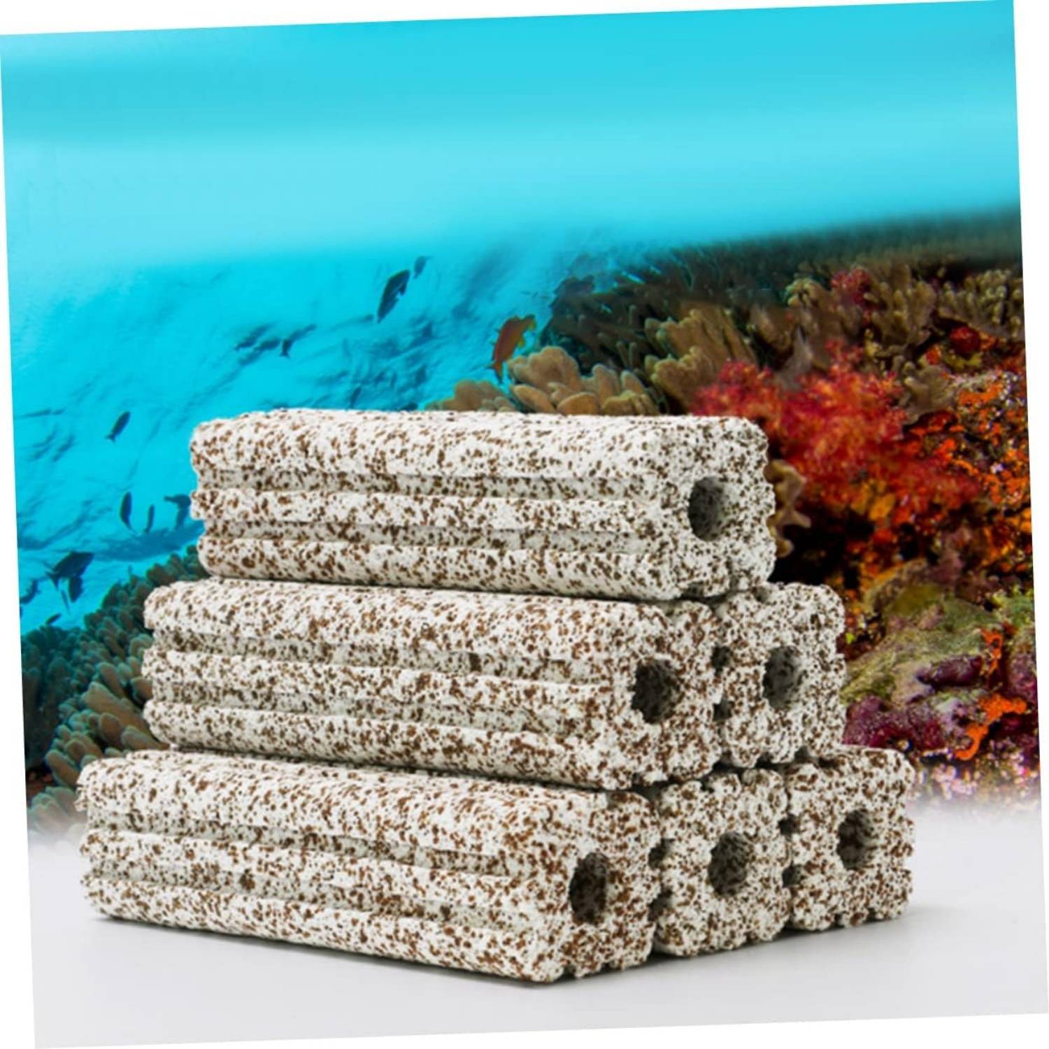 Média Bio Céramique 15cm - Pour Filtration Efficace DtopbuyAge - Image 4