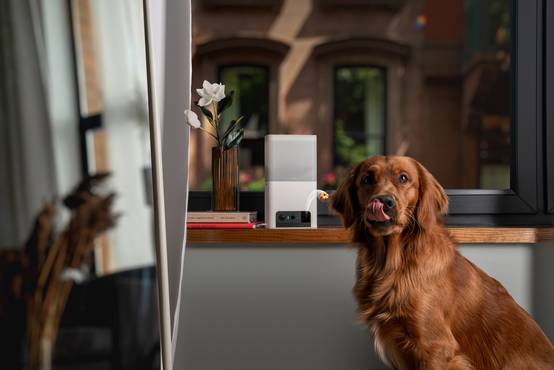 Petcube Bites 2 Lite - Caméra WiFi Interactive - Image 4