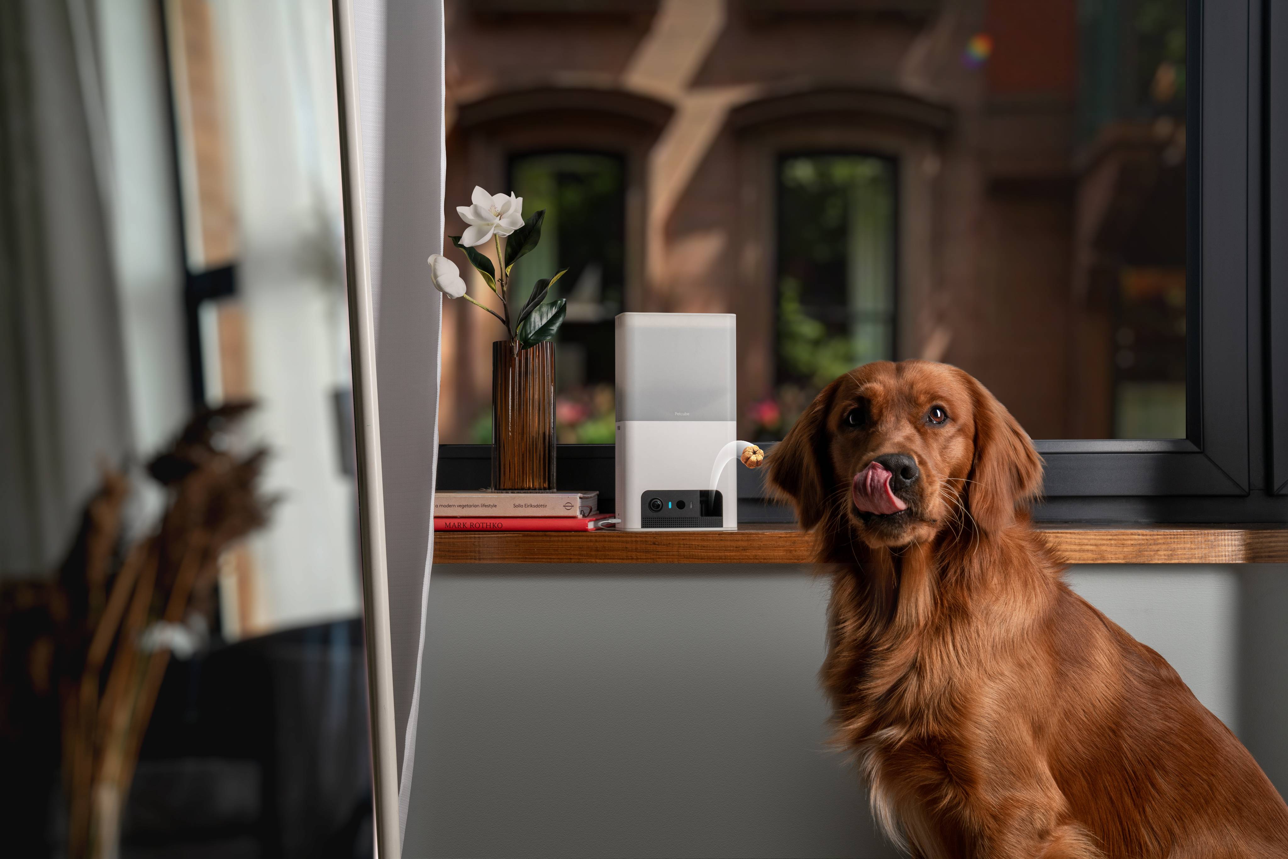 Petcube Bites 2 Lite - Caméra WiFi Interactive - Image 4