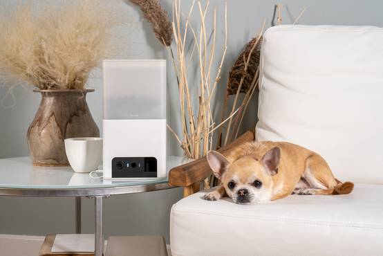 Petcube Bites 2 Lite - Caméra WiFi Interactive - Image 3