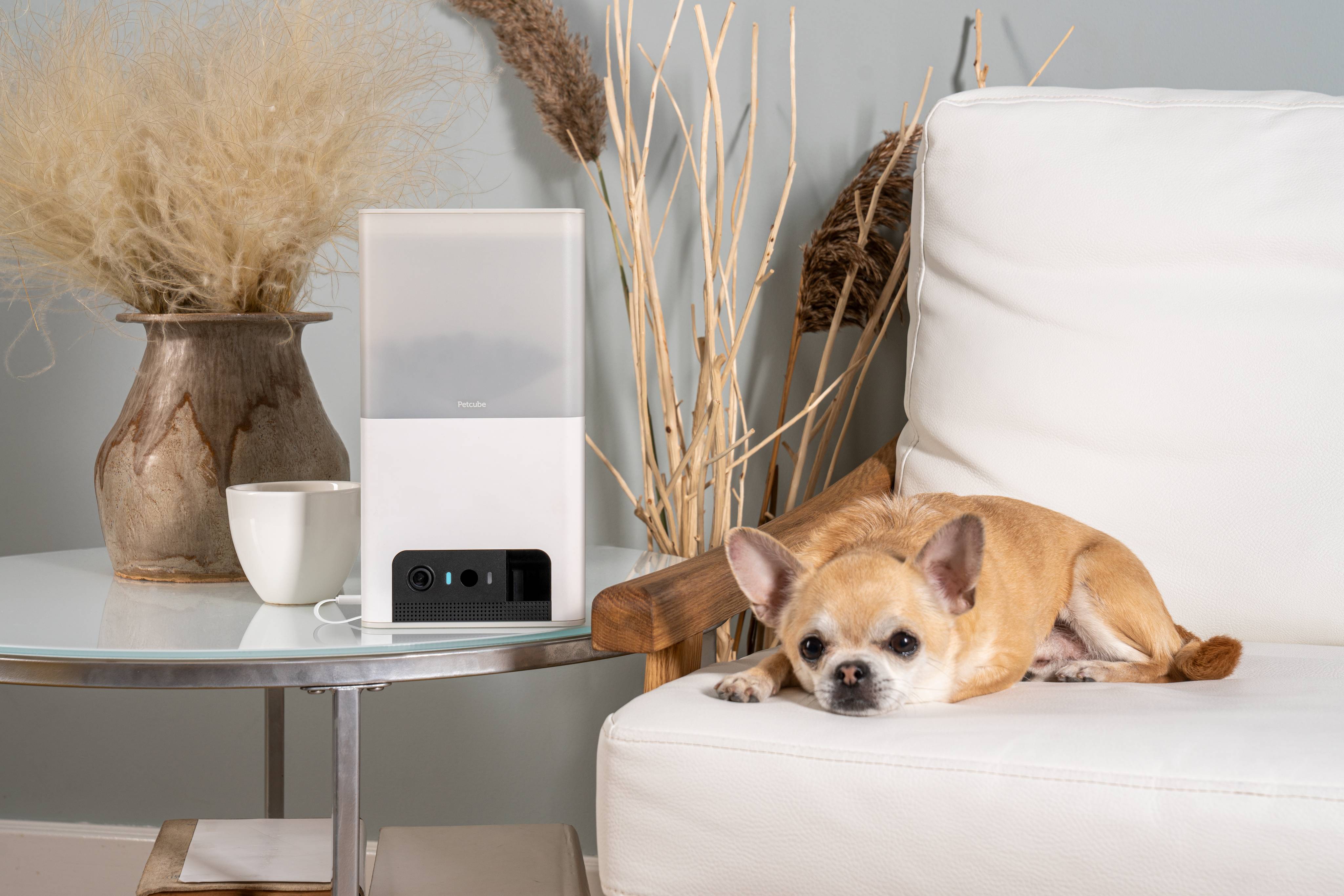 Petcube Bites 2 Lite - Caméra WiFi Interactive - Image 3