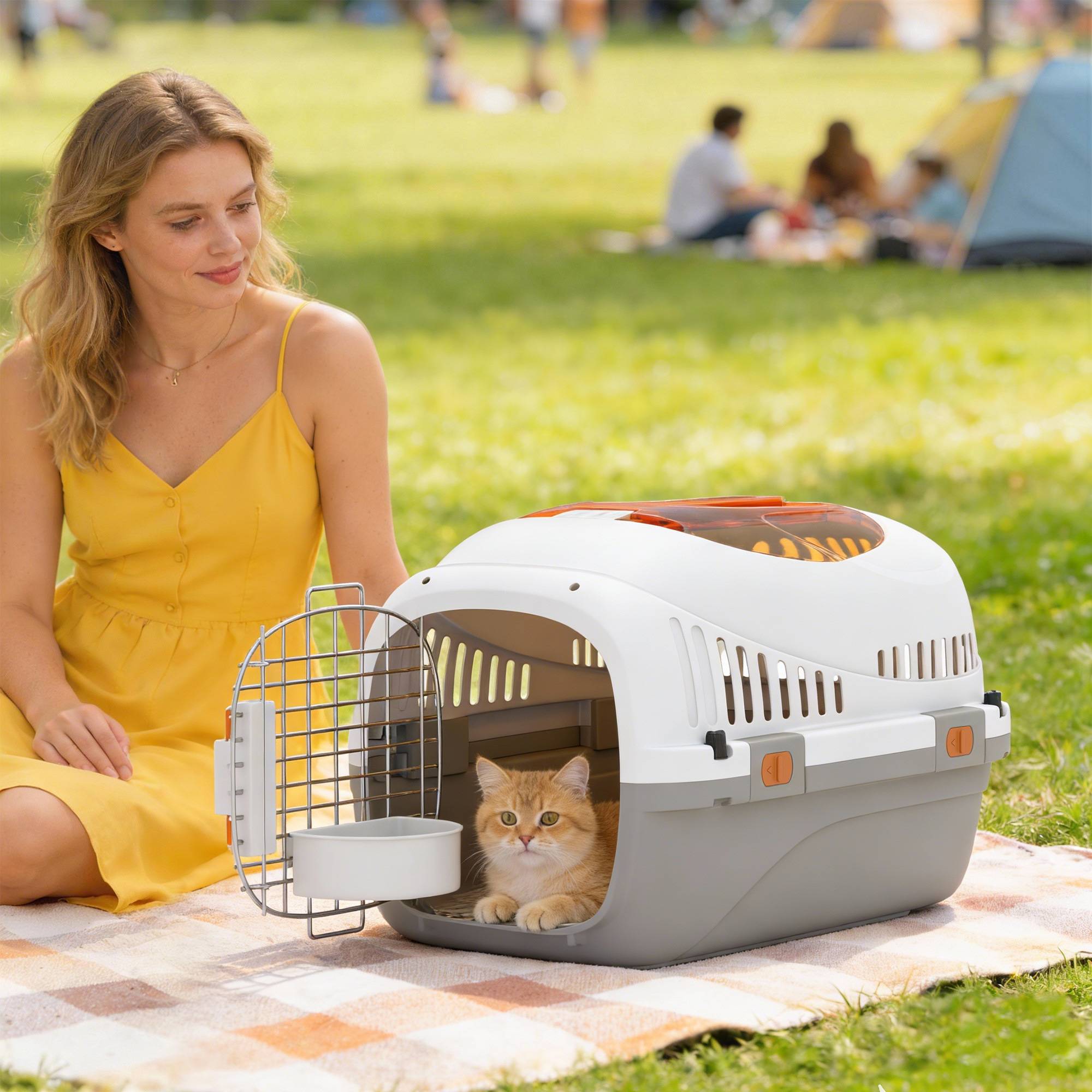Cage de transport pour chats et petits chiens jusqu'à 4 kg avec puits de lumière et porte en acier gris clair - Image 3