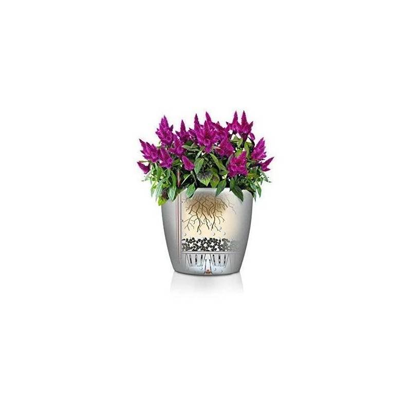 Lechuza - Pot De Fleur Lechuza Classico Premium Ls 50 - Kit Complet, Anthracite Métallisé - Image 3