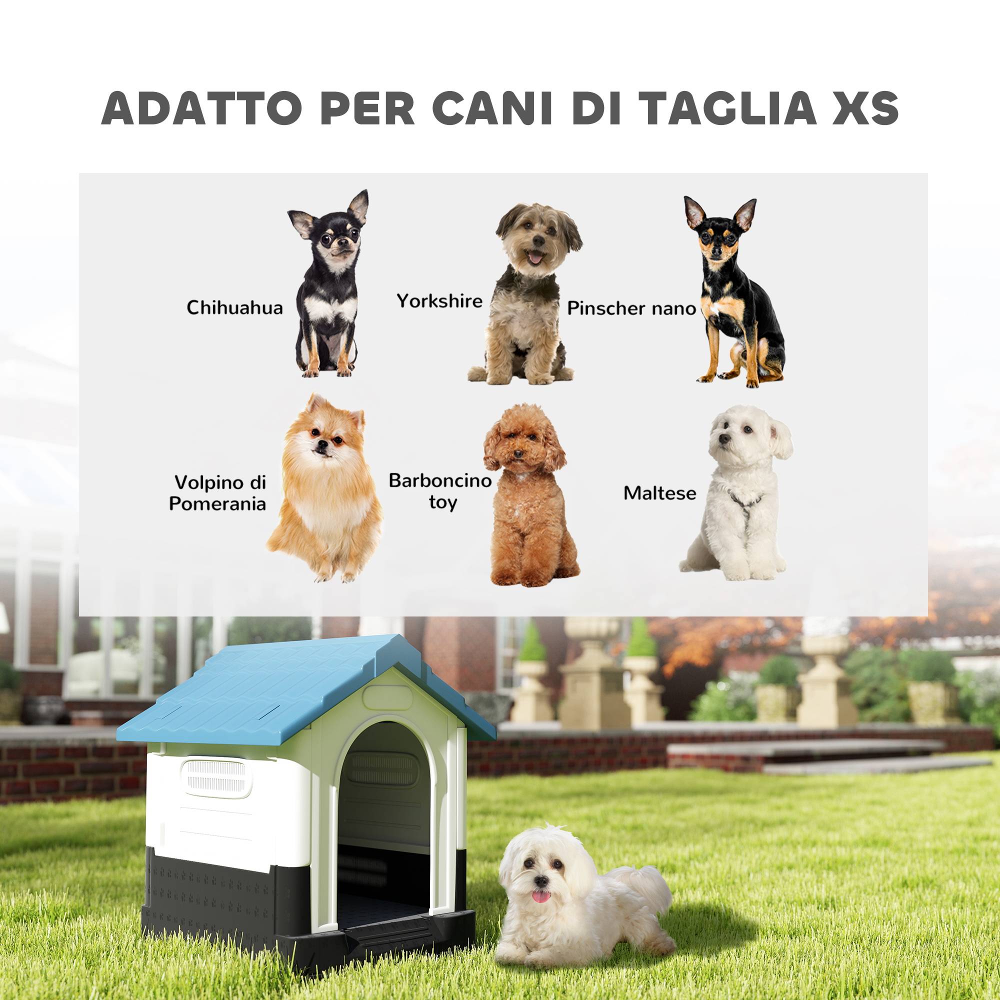 Niche d'extérieur en plastique pour petits chiens, avec fenêtres et fond surélevé, 64,5 x 57 x 66 cm, bleue - Image 6