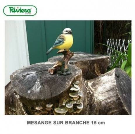 Riviera - Mésange sur branche - Image 2