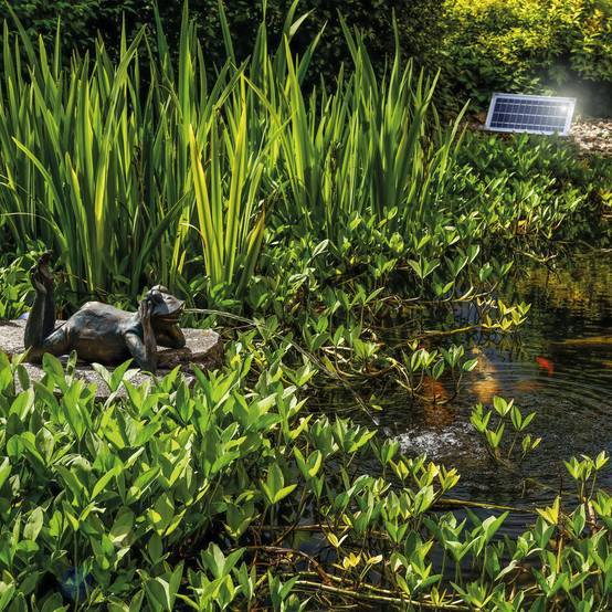 esotec Gargouille + pompe solaire de bassin Jeu d'eau Figure de jardin 101650 - Image 6