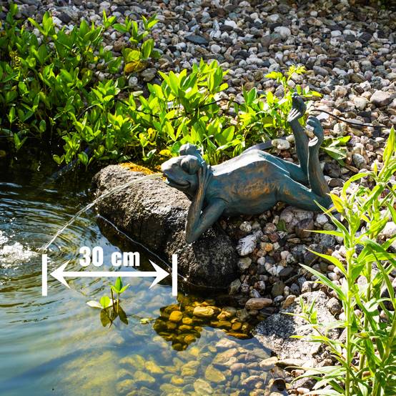 esotec Gargouille + pompe solaire de bassin Jeu d'eau Figure de jardin 101650 - Image 3