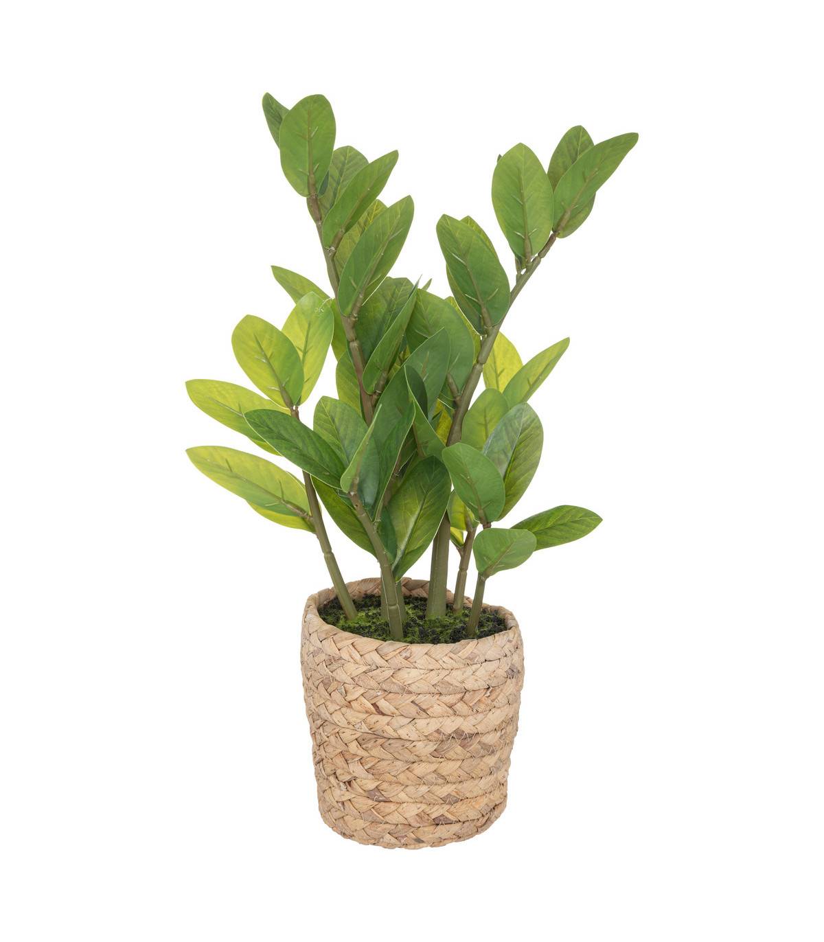 Plante artificielle Zamio en pot H 41 cm - Image 1