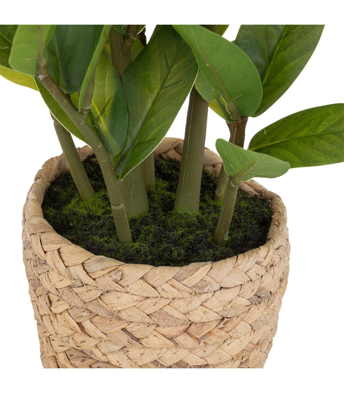 Plante artificielle Zamio en pot H 41 cm - Image 3