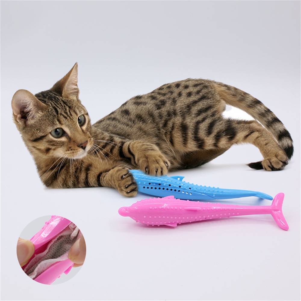 DtopbuyAge - Brosse à dents pour chat DtopbuyAge - Image 2