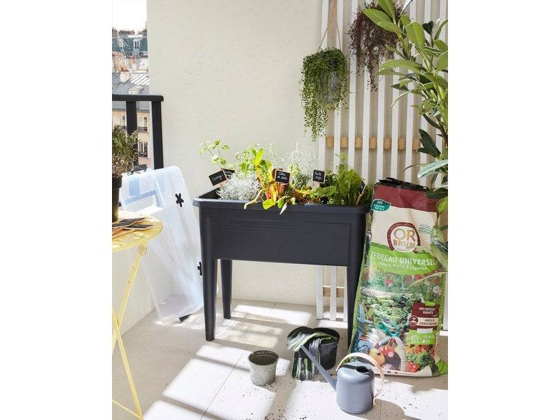 Elho - Table De Culture Green Basics Xxl Living Noir, L.36.5 X L.75.5 X H.65.1 Cm ELHO - Image 2