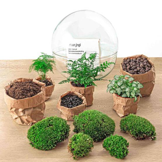 Kit Terrarium Diy - D30 H30cm - Image 4