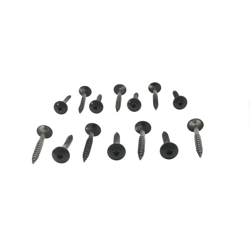 Kit de 50 vis 4,8 x 38 mm tork laquées pour bardage HPL - Coloris - Gris anthracite, Longueur de la vis - 38 mm - Image 1