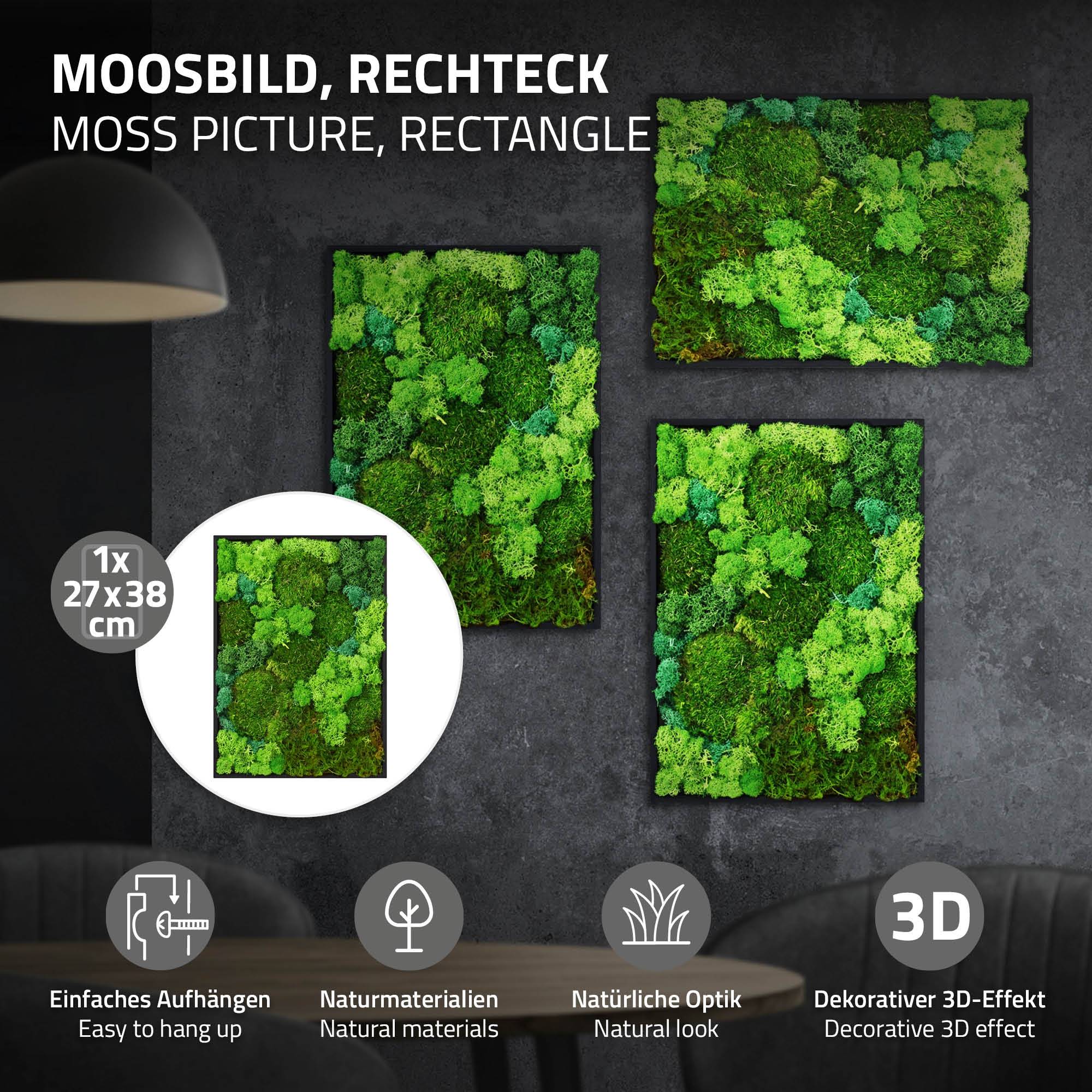 Ecd-Germany - Tableau végétal mural, mélange de mousses stabilisées, rectangulaire, 38 x 27 cm, vert, décoration d'intérieur effet 3D, sans entretien, pièce unique - Image 2