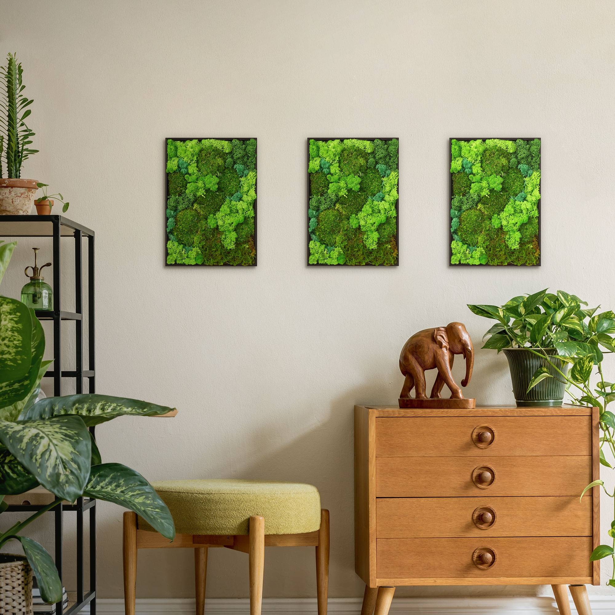 Ecd-Germany - Tableau végétal mural, mélange de mousses stabilisées, rectangulaire, 38 x 27 cm, vert, décoration d'intérieur effet 3D, sans entretien, pièce unique - Image 9