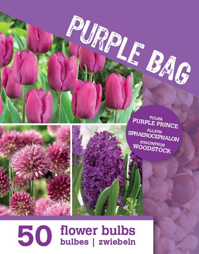 Mix de 50 - Le Sac Violet - Mix Violet - Tulipes, Jacinthes, Allium - Bulbes à fleurs - Image 2