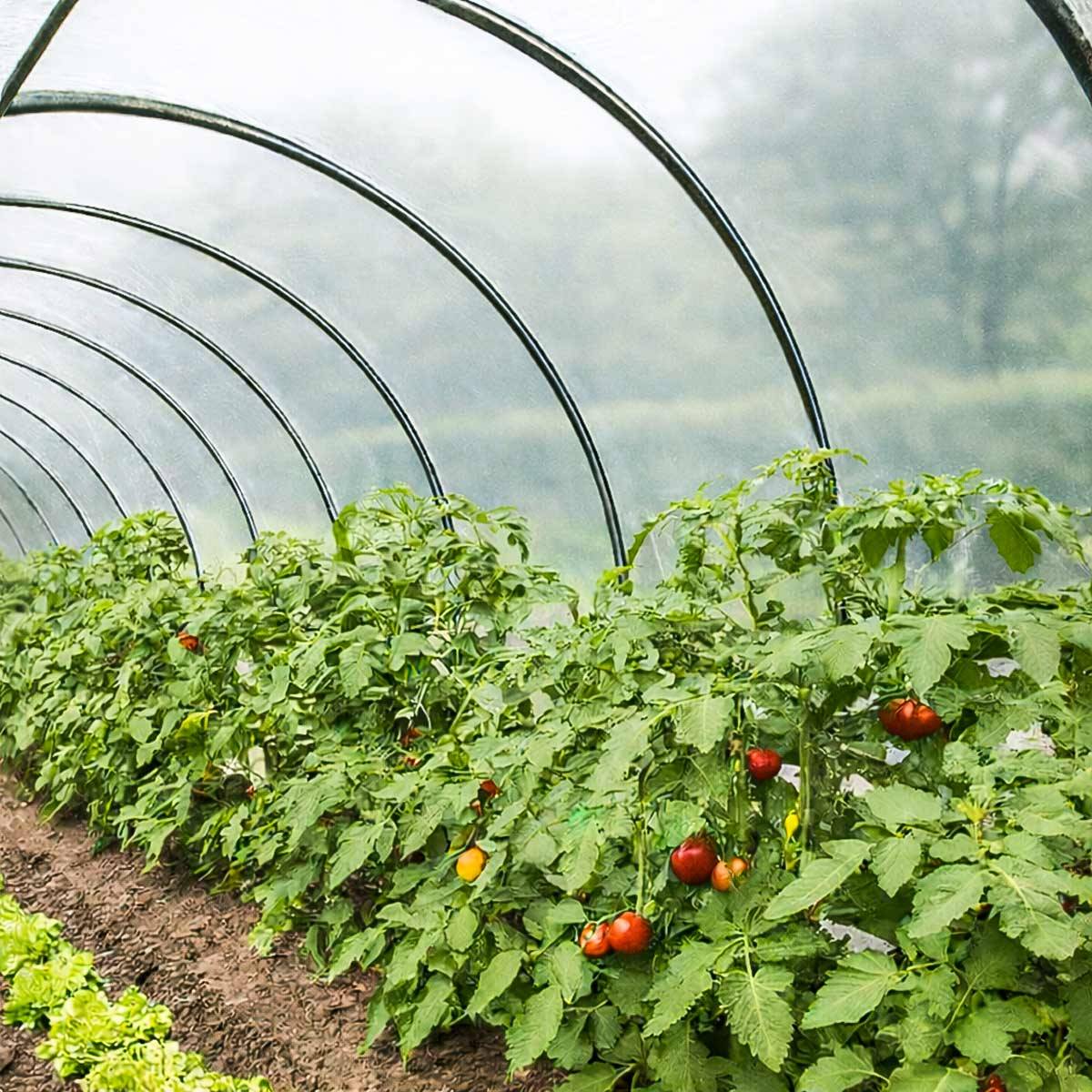Bâche Serre 6x3 m 200SE - Film plastique transparent pour serre de jardin - Haute Performance - Made in France TECPLAST - Image 1