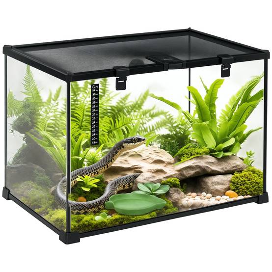 Terrarium verre transparent 50 x 30 x 35 cm - PANGIVO - Image 1