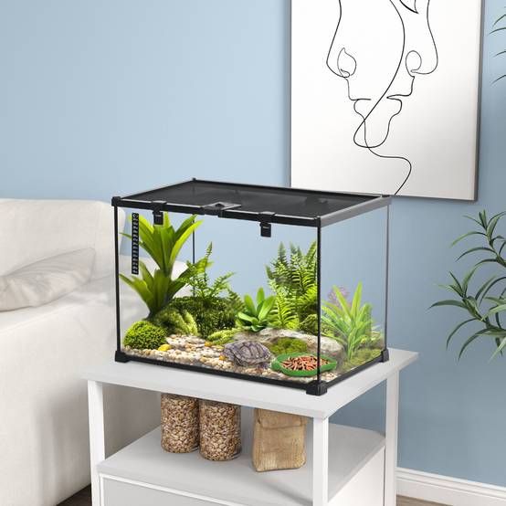 Terrarium verre transparent 50 x 30 x 35 cm - PANGIVO - Image 3