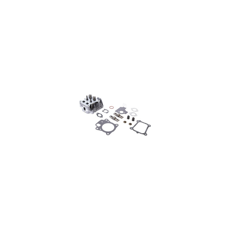 Briggs & Stratton - Culasse Briggs et Stratton - 84003960