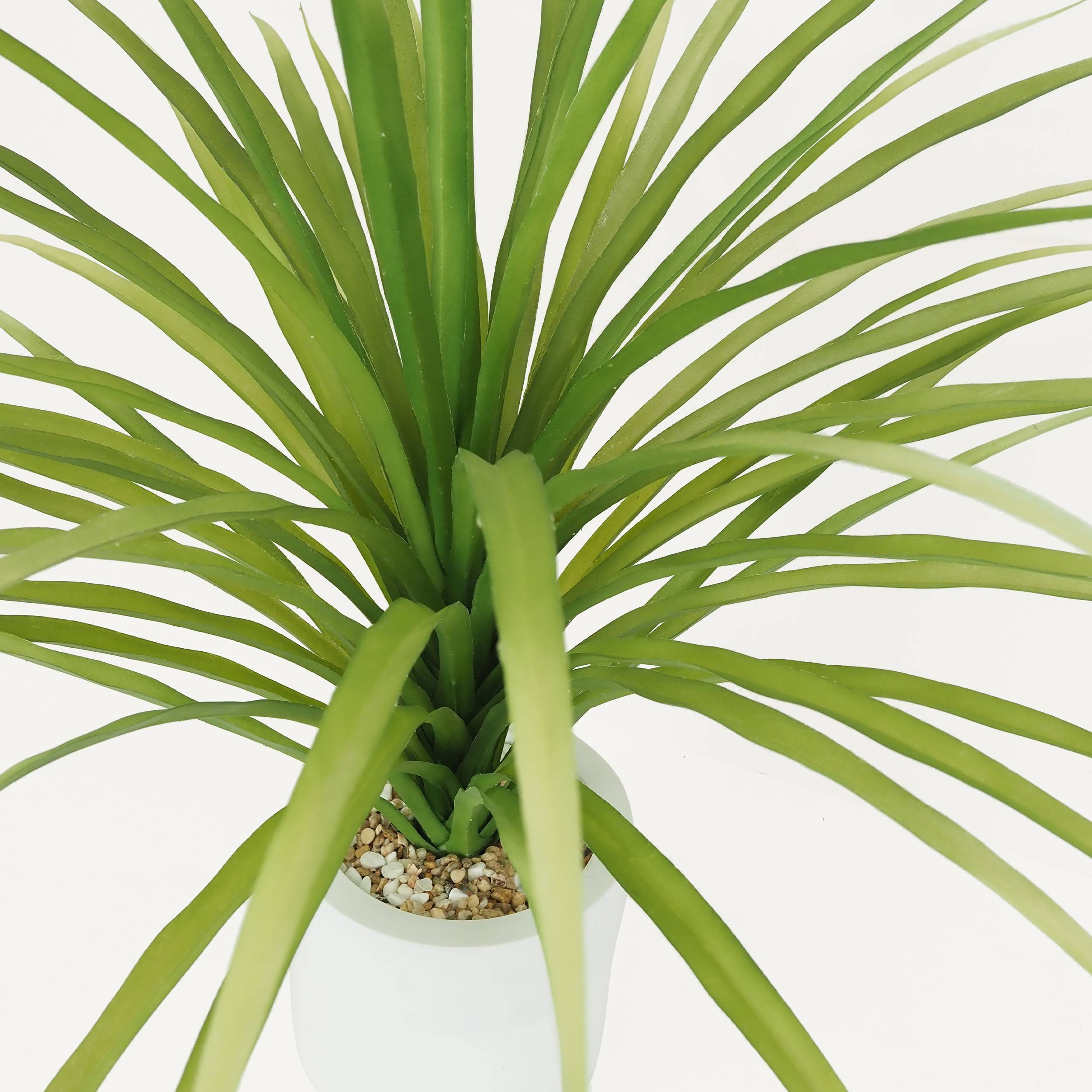 Ligne Deco - Dracena artificiel 95cm - Image 5