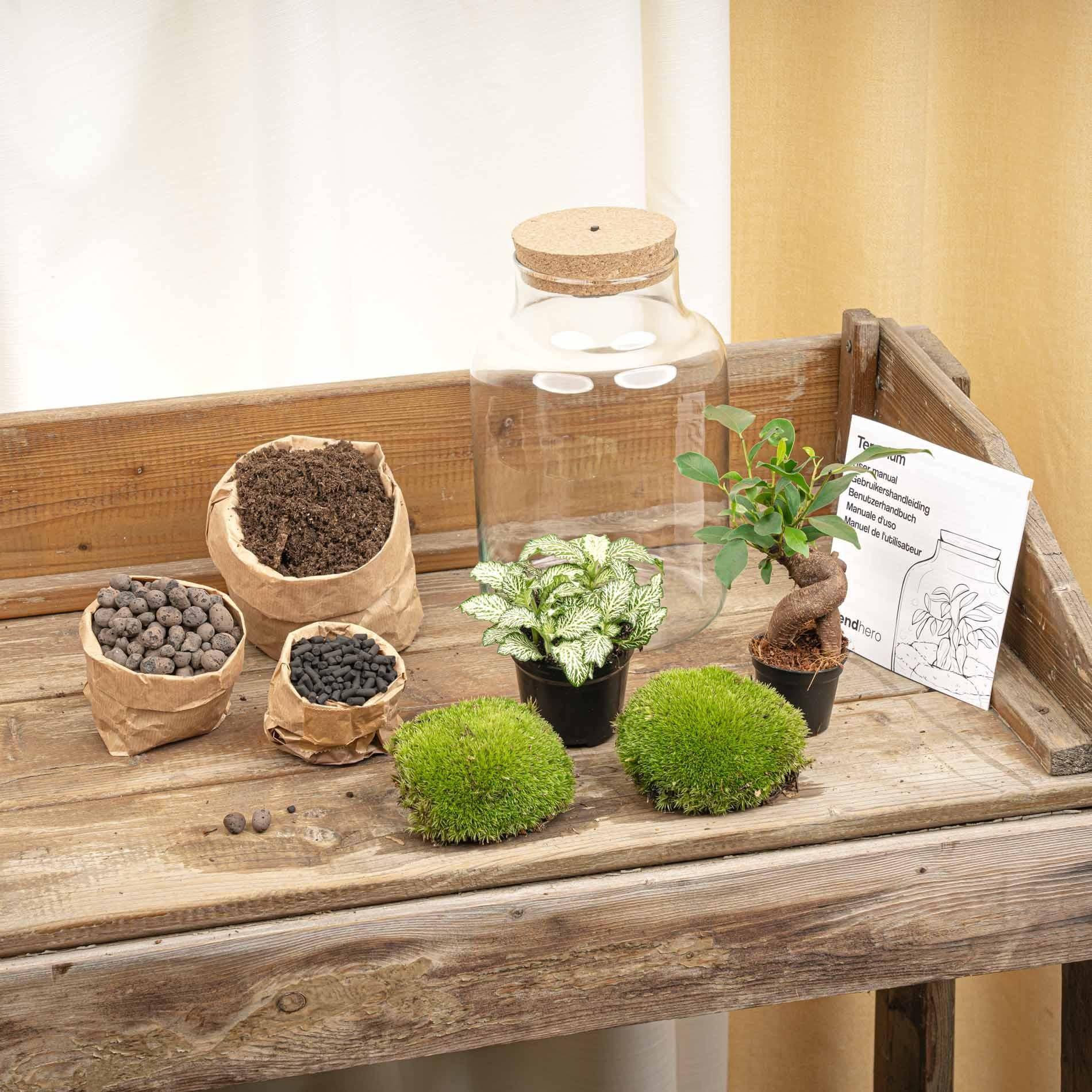 Planten Terrarium - H25cm - Image 2