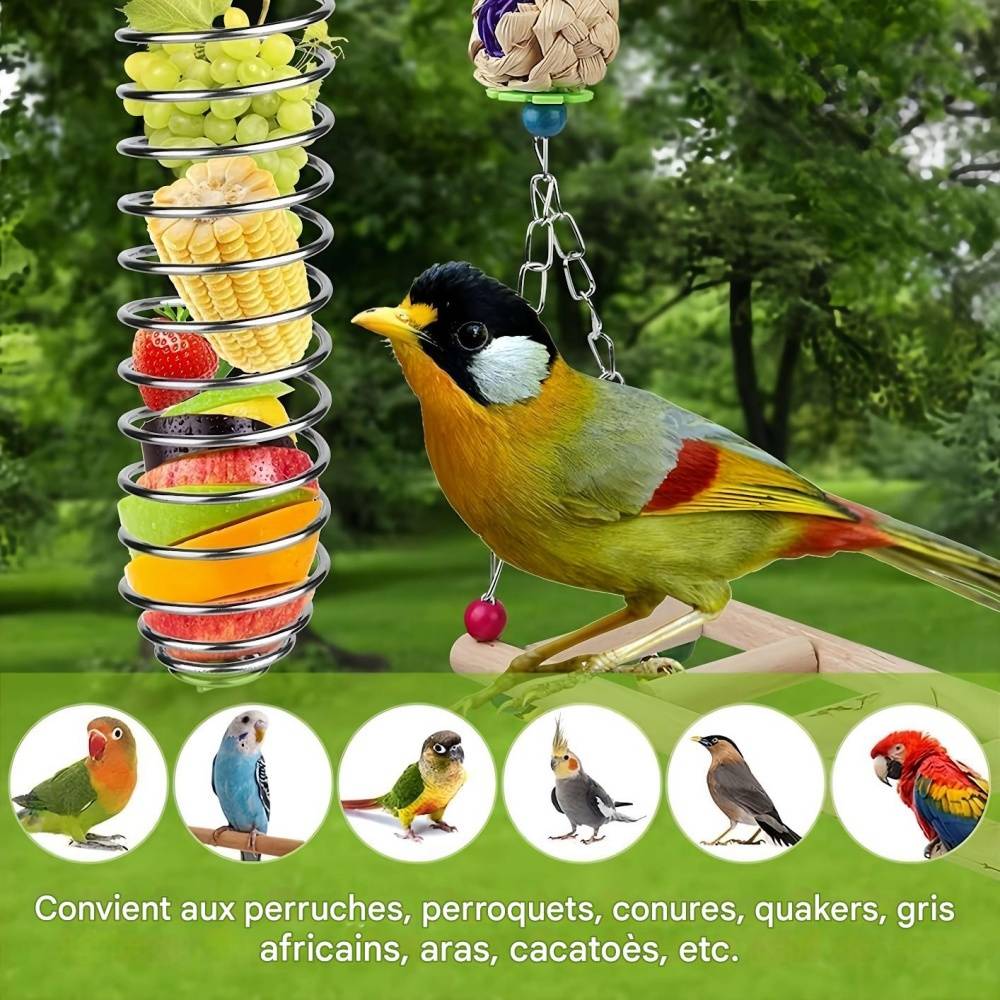 IntiMeg - Panier de nourriture pour perroquet IntiMeg - Image 3