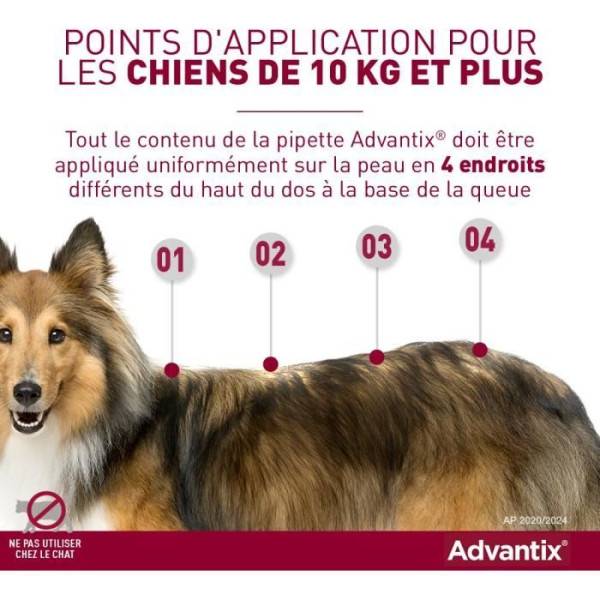 Advantix - Advantix Chien Solution Antiparasitaire Grande Race 25 a 40kg 4 pipettes - Image 2