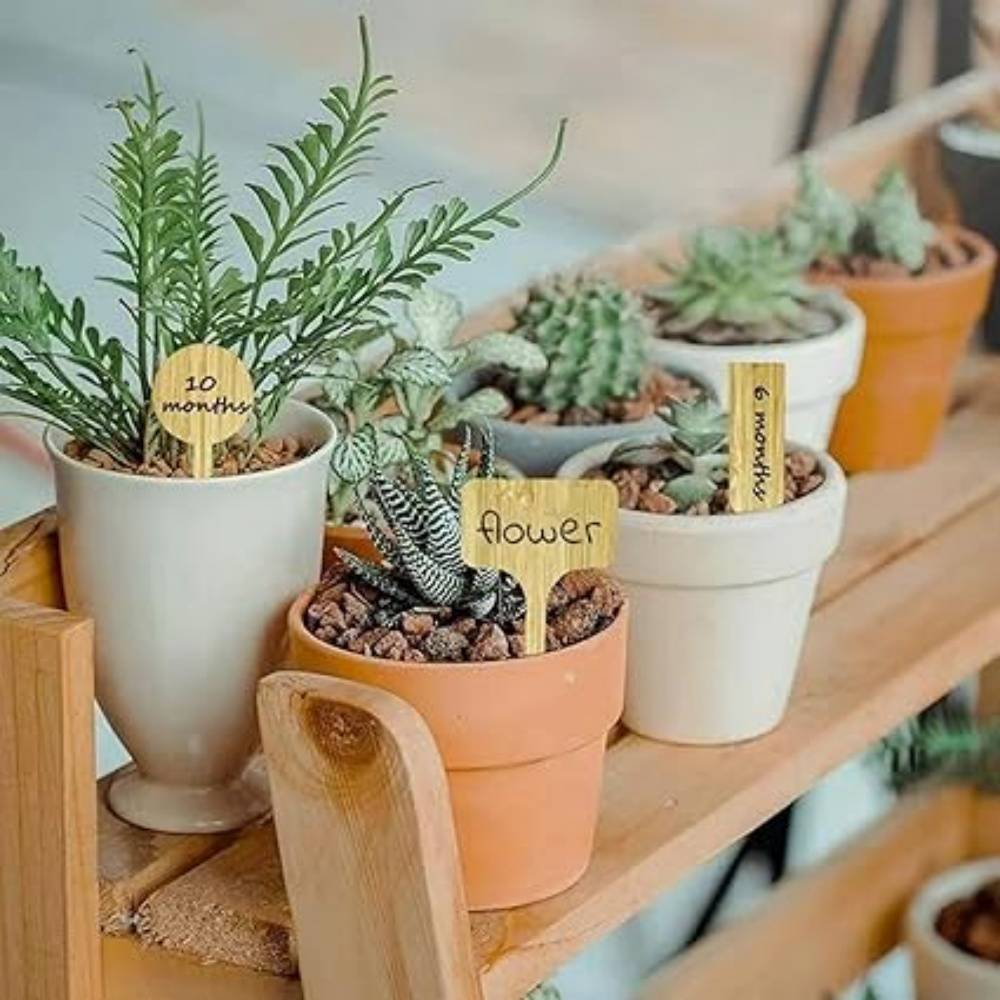 DtopbuyAge - 30 Pièces Étiquettes En Bois Pour Plantes Jardinage DtopbuyAge - Image 2