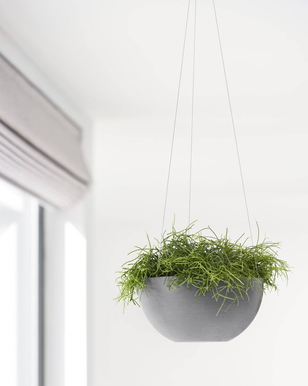 Ecopots - Pot supsendu Brussels 27 Gris - Ø 26,5 x H. 13 cm - 4,2 L ECOPOTS - Image 5