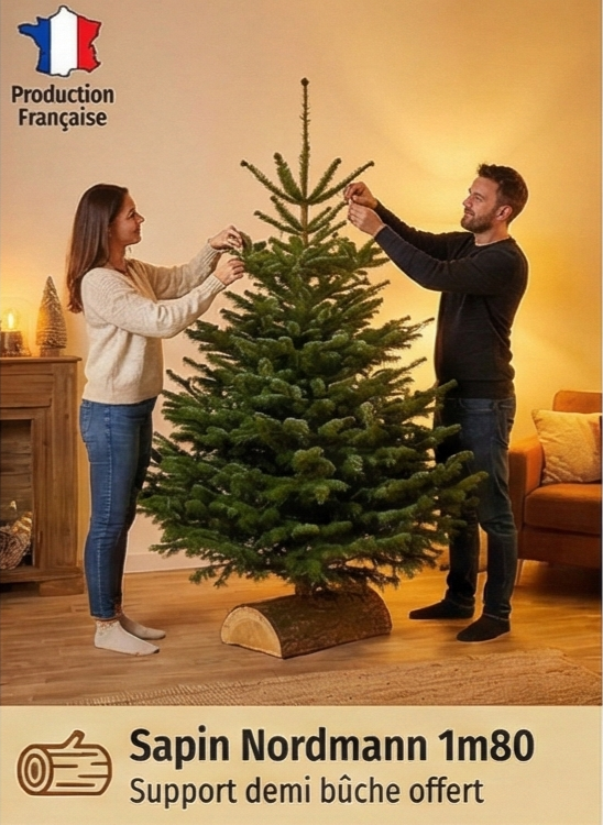Sitemapcdatahttpsstileinfbizidsapin De Noel Nordmann Auchan