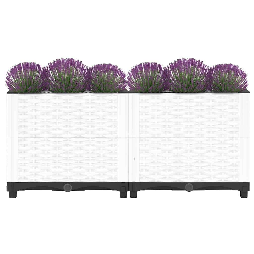 Prolenta Premium - Jardinière polypropylène blanc 80 x 40 x 38 cm - Prolenta premium p332.5 - Image 3