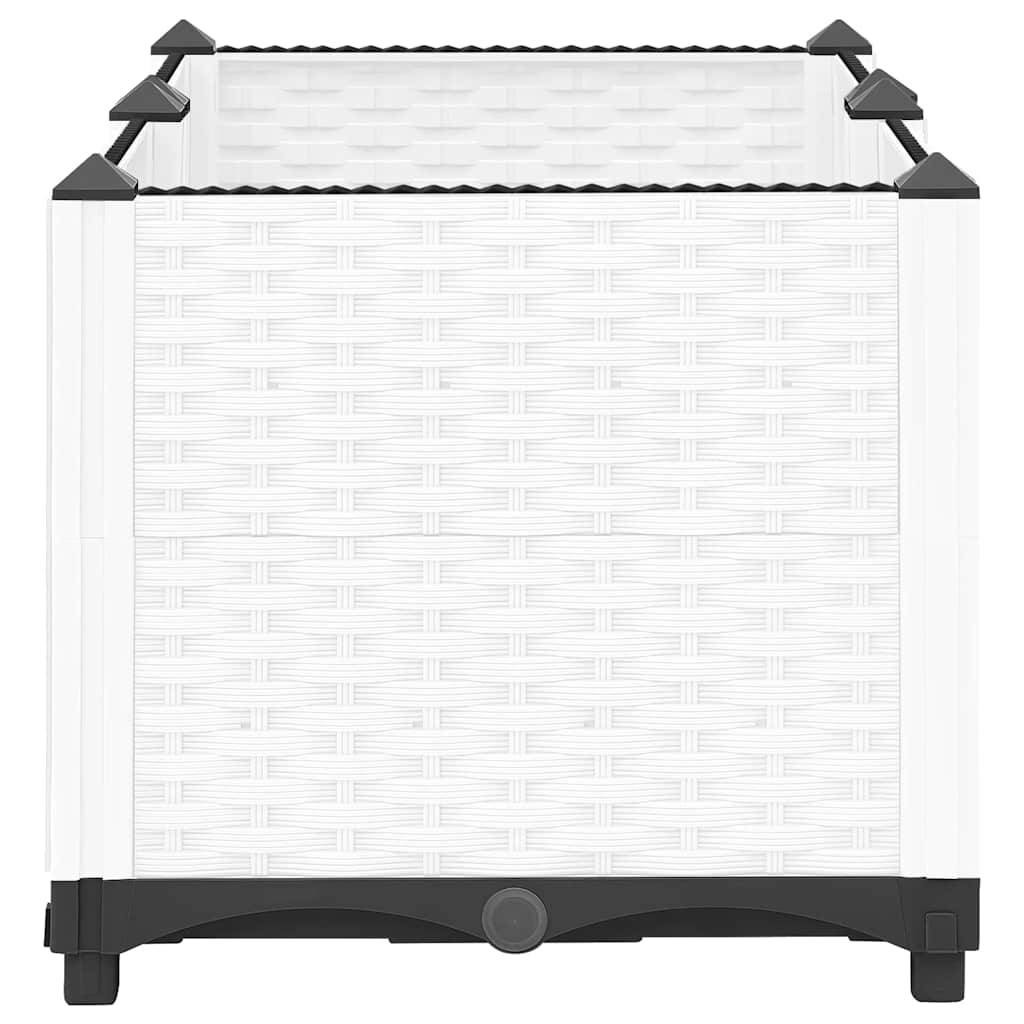 Prolenta Premium - Jardinière polypropylène blanc 80 x 40 x 38 cm - Prolenta premium p332.5 - Image 5