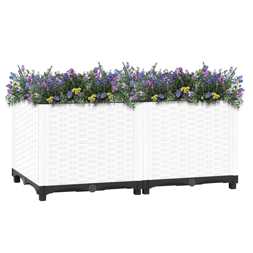Prolenta Premium - Jardinière polypropylène blanc  80 x 40 x 38 cm  - Prolenta premium p332.5 - Image 1