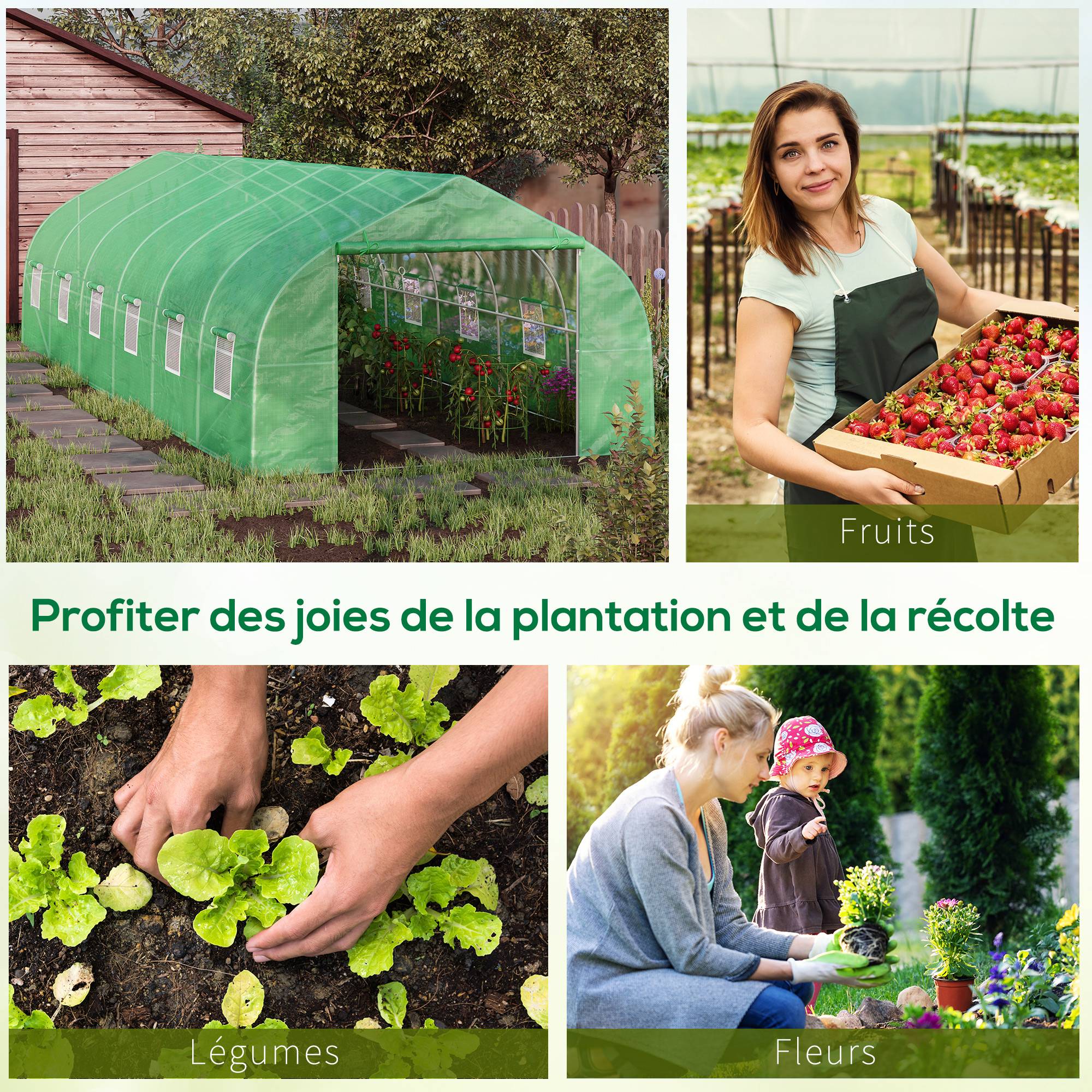 Serre Tunnel de Jardin 24 m² 8 x 3 x 2 m, Structure en Acier, Bâche PE, Porte et 12 Fenêtres - Image 9
